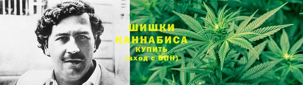 гашик Мегион