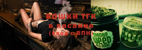 ешки Медногорск