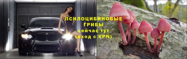 ешки Медногорск