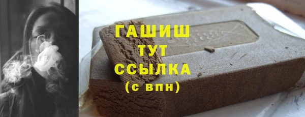 гашик Мегион