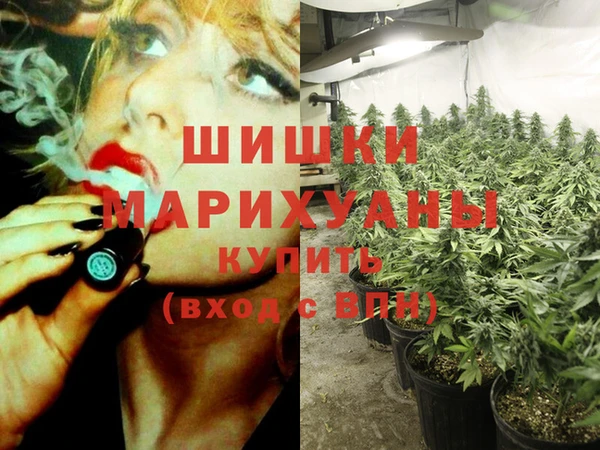 спиды Бежецк