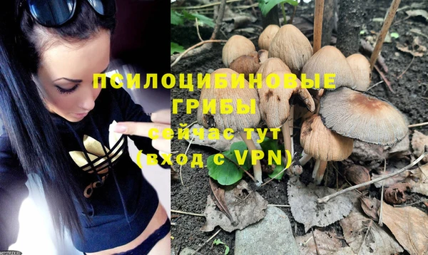 ешки Медногорск