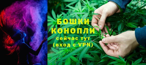 гашик Мегион