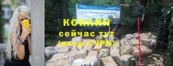 гашик Мегион