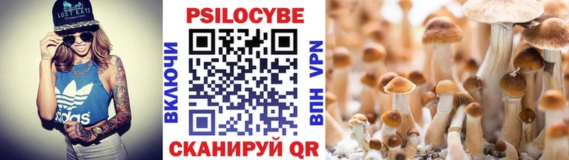 Галлюциногенные грибы MAGIC MUSHROOMS  Купить  Карачев 
